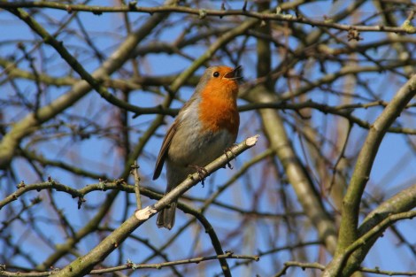 That's my jam! Photo: Derek Law/Flickr