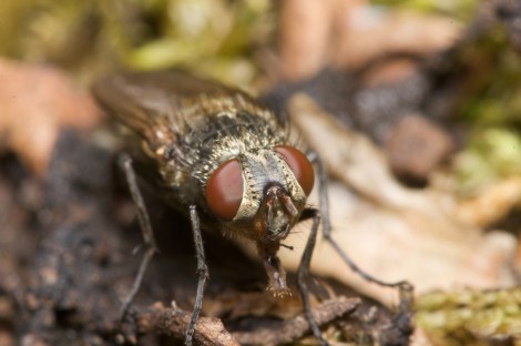 Photo: Clayton O'Neill/Flickr