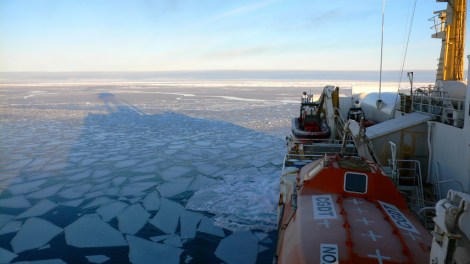 Photo: MarineBugs/Flickr